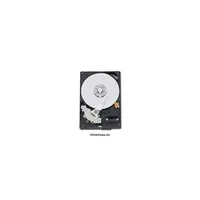 1TB 3,5  HDD SATA3 7200RPM 64MB belső Western Digital Blue Caviar illusztráció, fotó 2